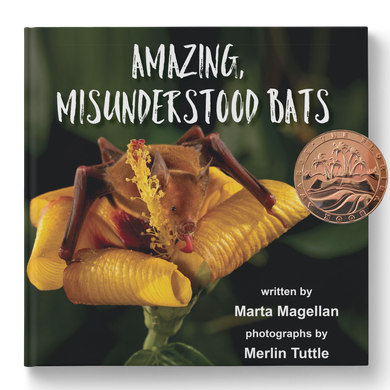 Amazing, Misunderstood Bats